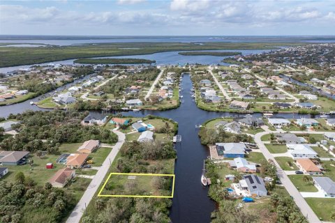 Terreno en venta en Port Charlotte, Florida № 1523077 - foto 8
