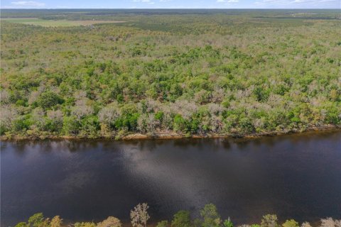 Land in Old Town, Florida № 2218037 - photo 3