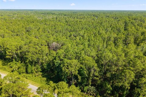 Terrain à vendre à Eustis, Floride № 2105419 - photo 2