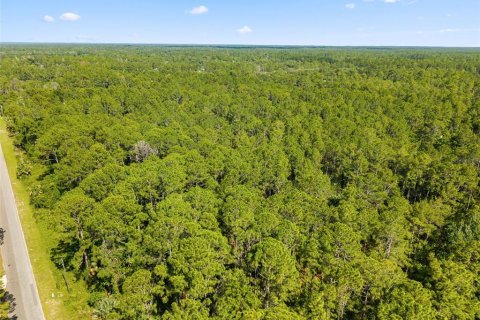 Terrain à vendre à Eustis, Floride № 2105419 - photo 3
