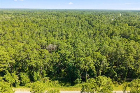 Terreno en Eustis, Florida № 2105419