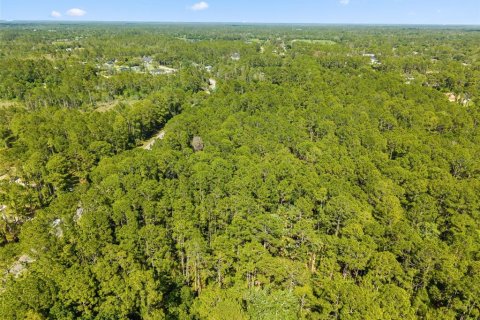 Terrain à vendre à Eustis, Floride № 2105419 - photo 4