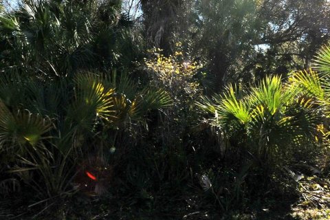 Land in North Port, Florida № 2159233 - photo 2