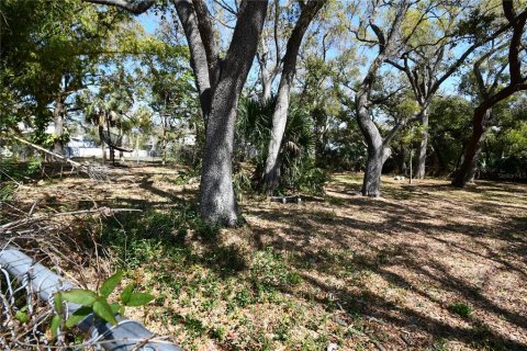 Terrain à vendre à Tampa, Floride № 2166827 - photo 28