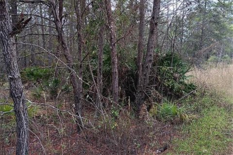 Land in Dunnellon, Florida № 943875 - photo 1