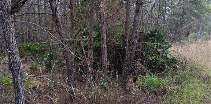 Land in Dunnellon, Florida № 943875