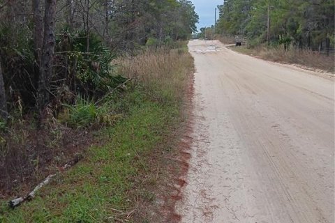 Land in Dunnellon, Florida № 943875 - photo 3