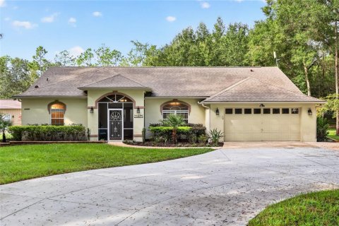 Casa en Dunnellon, Florida 3 dormitorios, 236.99 m2 № 2360654