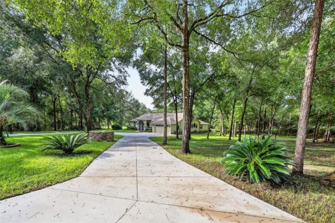 Villa ou maison à vendre à Dunnellon, Floride: 3 chambres, 236.99 m2 № 2360654 - photo 6
