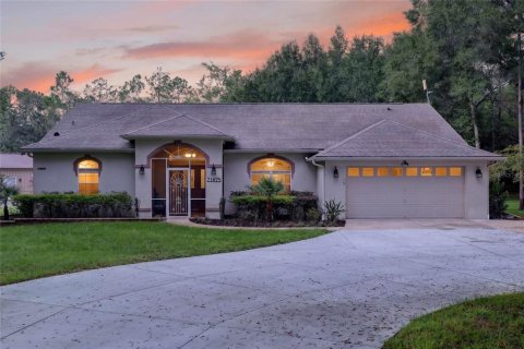 Villa ou maison à vendre à Dunnellon, Floride: 3 chambres, 236.99 m2 № 2360654 - photo 2