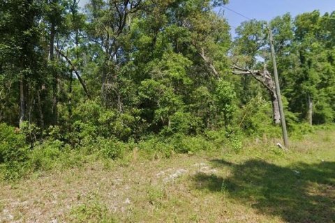 Land in Old Town, Florida № 1420621 - photo 3