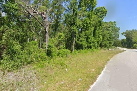 Land in Old Town, Florida № 1420621 - photo 4