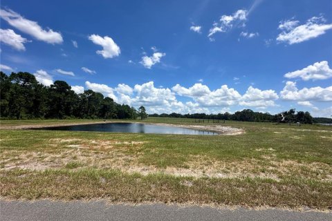 Land in Umatilla, Florida № 1869639 - photo 16