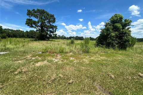 Land in Umatilla, Florida № 1869639 - photo 11