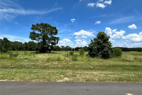 Land in Umatilla, Florida № 1869639 - photo 1