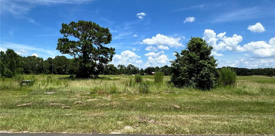 Land in Umatilla, Florida № 1869639