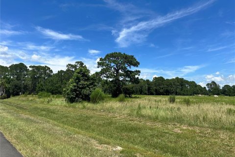 Land in Umatilla, Florida № 1869639 - photo 9