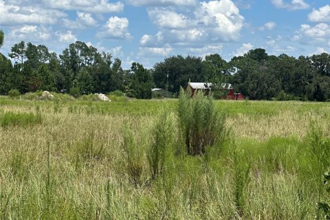 Land in Umatilla, Florida № 1869639 - photo 12