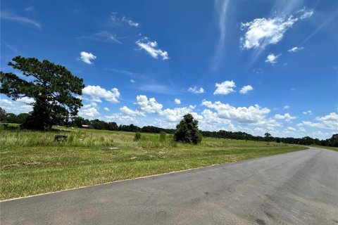 Land in Umatilla, Florida № 1869639 - photo 5