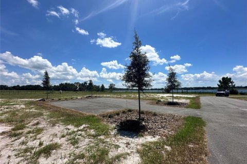 Land in Umatilla, Florida № 1869639 - photo 17