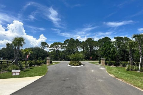 Land in Umatilla, Florida № 1869639 - photo 7