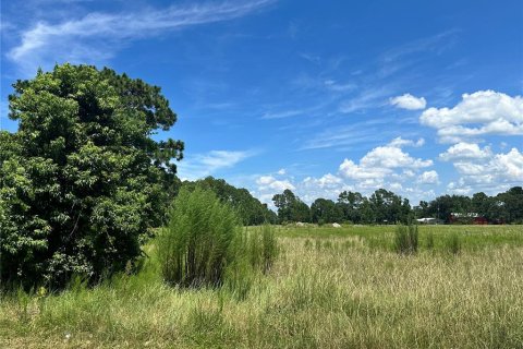 Land in Umatilla, Florida № 1869639 - photo 10