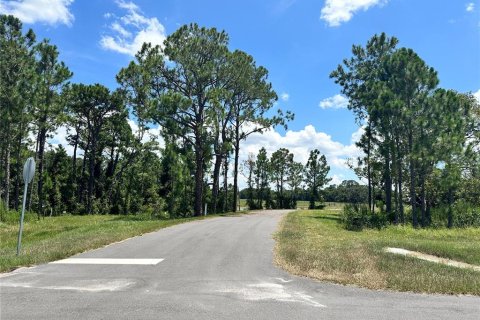 Land in Umatilla, Florida № 1869639 - photo 13