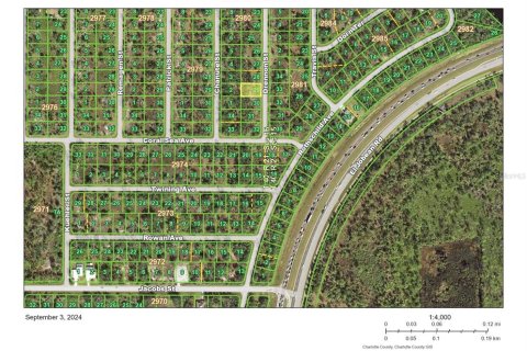 Land in Port Charlotte, Florida № 2158836 - photo 3