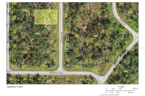 Land in Port Charlotte, Florida № 2158836