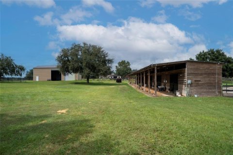 House in Morriston, Florida № 2393899 - photo 10