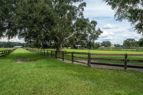 House in Morriston, Florida № 2393899 - photo 18