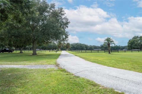 House in Morriston, Florida № 2393899 - photo 19