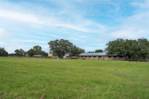 Studio in Morriston, Florida № 2393899