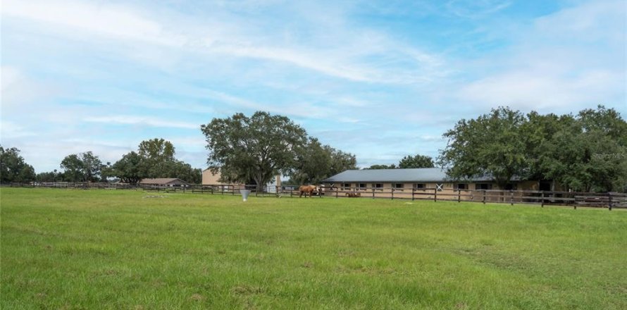 Studio in Morriston, Florida № 2393899