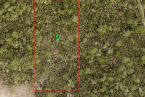Land in Deltona, Florida № 2233109 - photo 2