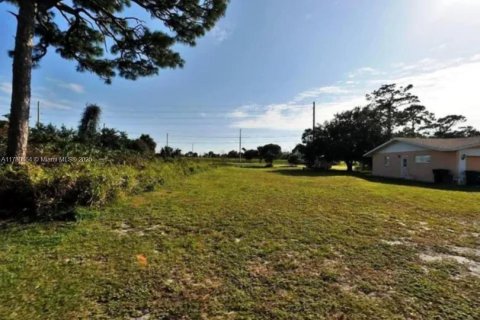 Land in St. Lucie, Florida № 1864586 - photo 1