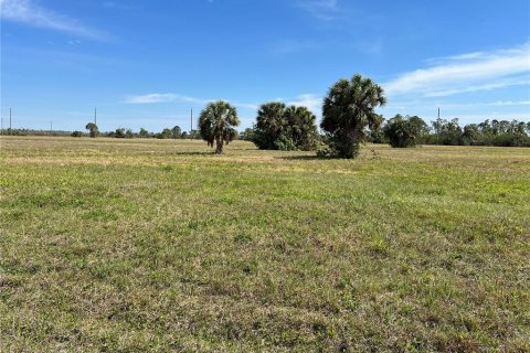 Land in Placida, Florida № 1832846 - photo 6
