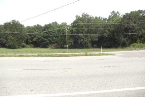 Land in Starke, Florida № 1799835 - photo 1
