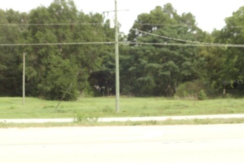 Land in Starke, Florida № 1799835 - photo 3