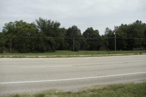 Land in Starke, Florida № 1799835 - photo 2