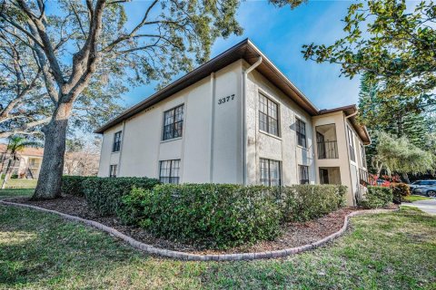 Condo in Palm Harbor, Florida, 2 bedrooms  № 1531884 - photo 7