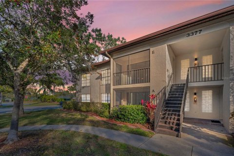 Condo in Palm Harbor, Florida, 2 bedrooms  № 1531884 - photo 1