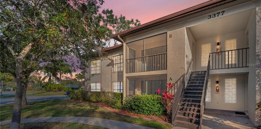 Condo in Palm Harbor, Florida, 2 bedrooms  № 1531884