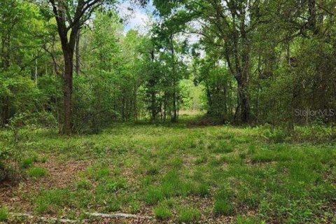 Terreno en venta en Alachua, Florida № 1761473 - foto 1