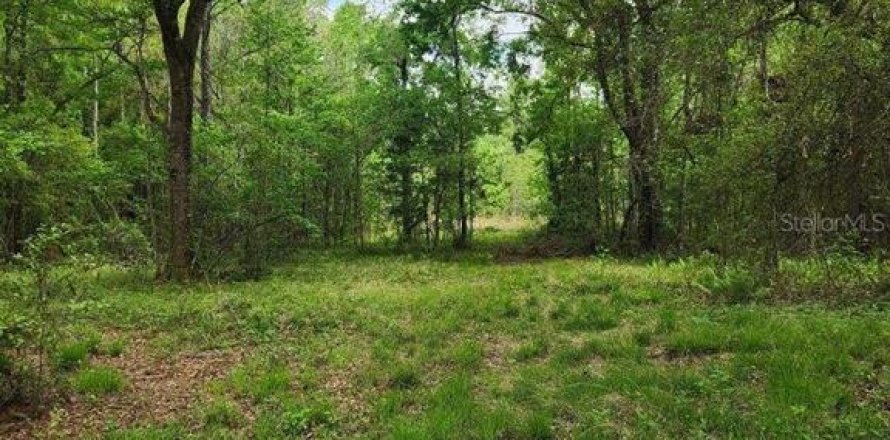 Terreno en Alachua, Florida № 1761473