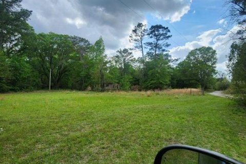 Terreno en venta en Alachua, Florida № 1761473 - foto 7