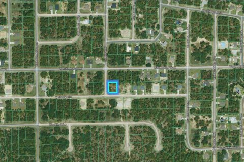Land in Citrus Springs, Florida № 2391728 - photo 6