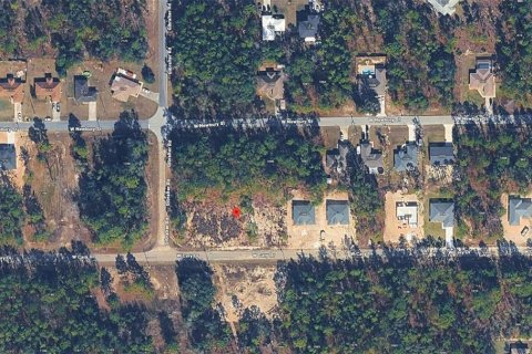 Land in Citrus Springs, Florida № 2391728 - photo 5