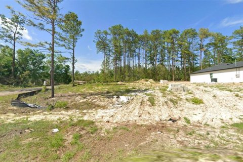Land in Citrus Springs, Florida № 2391728 - photo 2