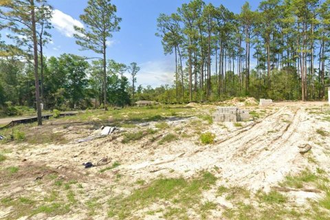 Land in Citrus Springs, Florida № 2391728 - photo 4